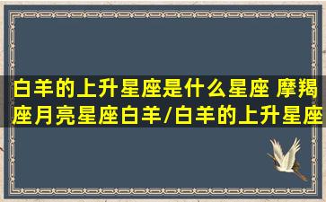 白羊的上升星座是什么星座 摩羯座月亮星座白羊/白羊的上升星座是什么星座 摩羯座月亮星座白羊-我的网站